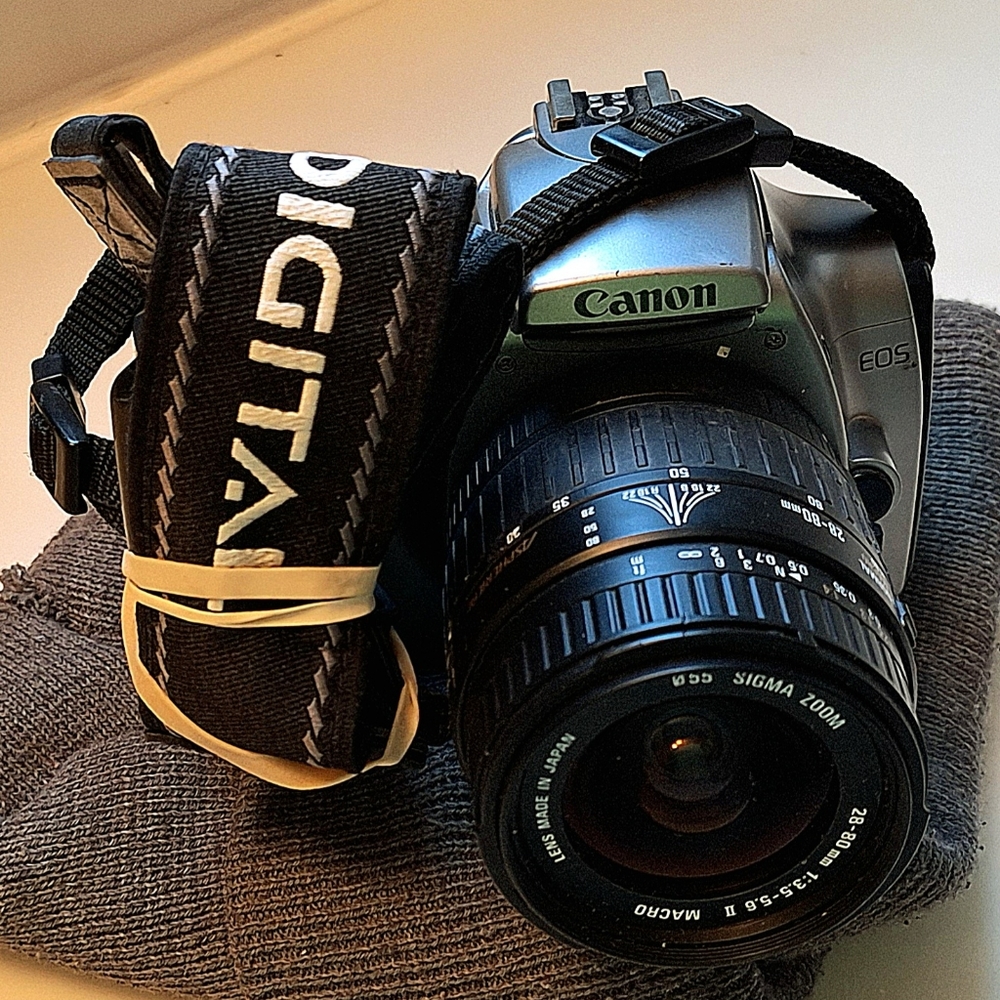 Canon EOS Rebel digital camera